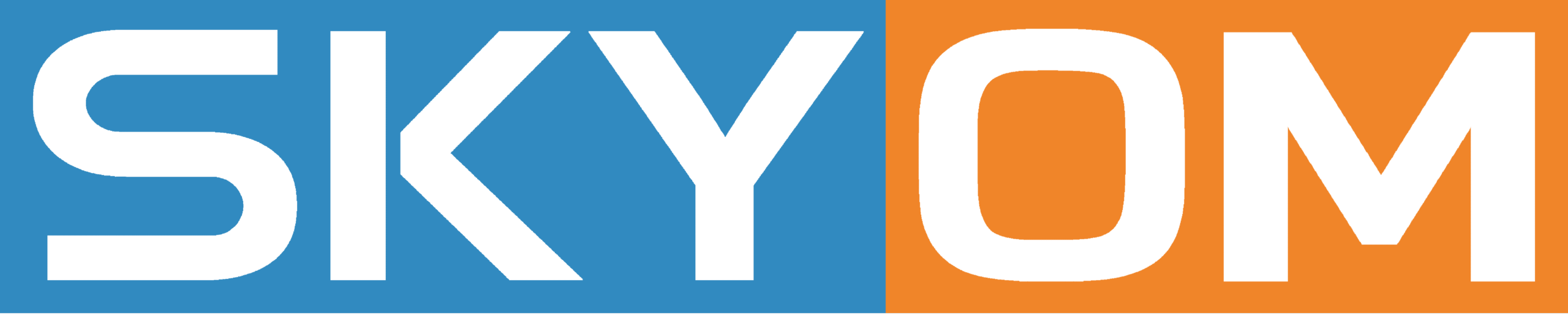SkyOm Logo Celurean Tangerine NTL
